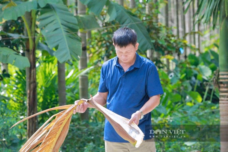 Tận dụng triệt để mo cau giúp ông Dũng tối ưu hóa chi phí và tăng doanh thu.